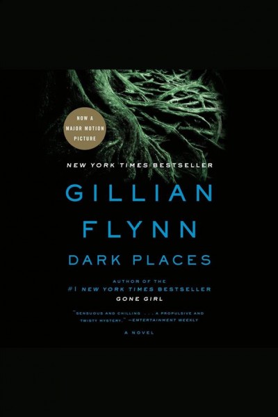 Dark places [electronic resource] / Gillian Flynn.