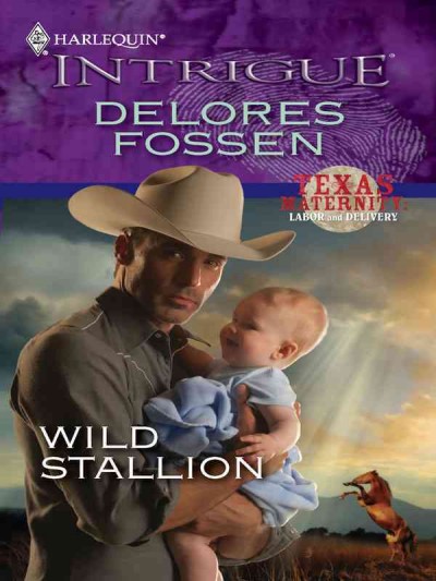 Wild stallion [electronic resource] / Delores Fossen.