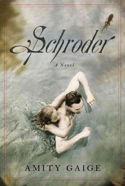 Schroder : a novel / Amity Gaige.