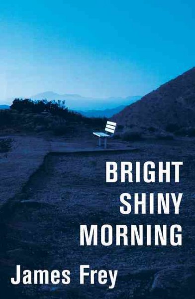 Bright Shiny Morning [Book]