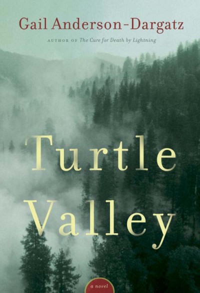 Turtle Valley [Book] / Gail Anderson-Dargatz. --.