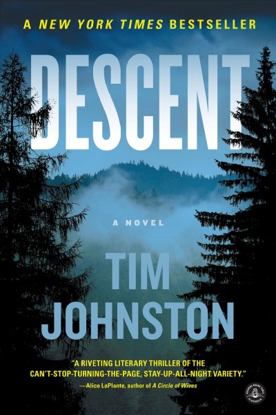 Descent : a novel / by Tim Johnston.