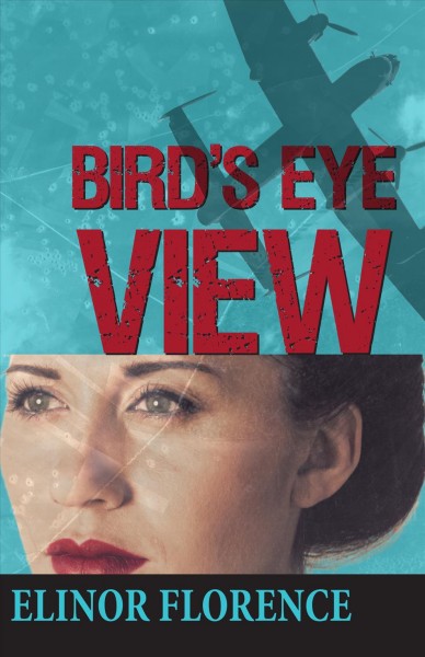 Bird's eye view / Elinor Florence.