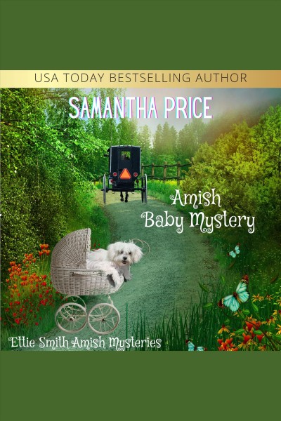 Amish baby mystery [electronic resource] / Samantha Price.