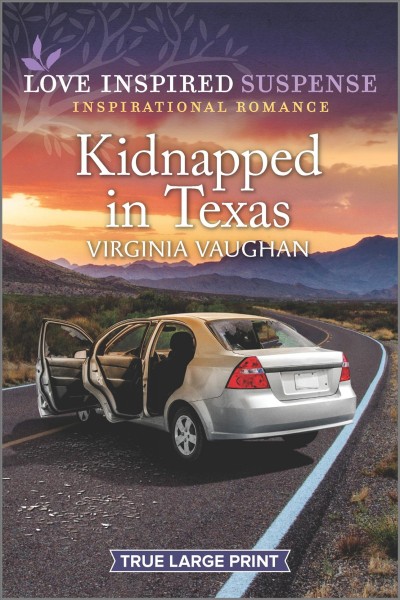 Kidnapped in Texas / Virginia Vaughan.