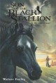 Son of the black stallion  Cover Image