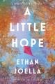 A little hope : a novel  Cover Image